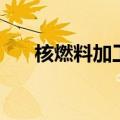 核燃料加工（关于核燃料加工的介绍）
