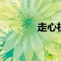 走心机（关于走心机的介绍）