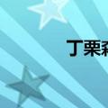 丁栗森（关于丁栗森的介绍）