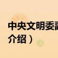 中央文明委副主任（关于中央文明委副主任的介绍）