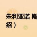 朱利亚诺 斯德尔（关于朱利亚诺 斯德尔的介绍）