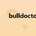 bulldoctor（关于bulldoctor的介绍）