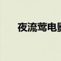 夜流莺电影（关于夜流莺电影的介绍）
