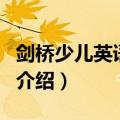 剑桥少儿英语培训（关于剑桥少儿英语培训的介绍）