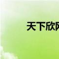 天下欣网（关于天下欣网的介绍）