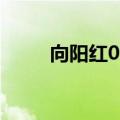 向阳红06（关于向阳红06的介绍）