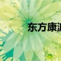东方康派（关于东方康派的介绍）