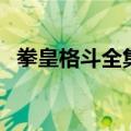 拳皇格斗全集（关于拳皇格斗全集的介绍）