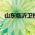 山东临沂卫校（关于山东临沂卫校的介绍）
