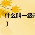 什么叫一级市场（关于什么叫一级市场的介绍）