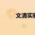 文清实验（关于文清实验的介绍）