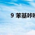 9 苯基咔唑（关于9 苯基咔唑的介绍）