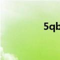 5qbt（关于5qbt的介绍）