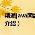 精通java网络编程（关于精通java网络编程的介绍）