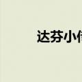达芬小传（关于达芬小传的介绍）