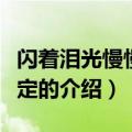 闪着泪光慢慢的决定（关于闪着泪光慢慢的决定的介绍）