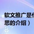 软文推广是什么意思（关于软文推广是什么意思的介绍）