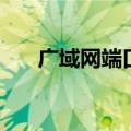 广域网端口（关于广域网端口的介绍）
