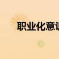 职业化意识（关于职业化意识的介绍）
