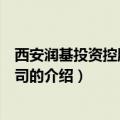 西安润基投资控股有限公司（关于西安润基投资控股有限公司的介绍）