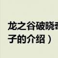 龙之谷破晓奇兵种子（关于龙之谷破晓奇兵种子的介绍）