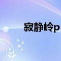 寂静岭p t（关于寂静岭p t的介绍）