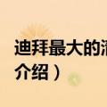 迪拜最大的清真寺（关于迪拜最大的清真寺的介绍）
