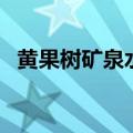 黄果树矿泉水（关于黄果树矿泉水的介绍）