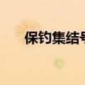 保钓集结号（关于保钓集结号的介绍）