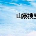 山寨搜索（关于山寨搜索的介绍）