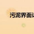污泥界面计（关于污泥界面计的介绍）