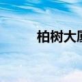 柏树大厦（关于柏树大厦的介绍）