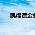 凯福德金业（关于凯福德金业的介绍）