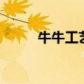 牛牛工艺（关于牛牛工艺的介绍）