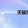 天猫宝（关于天猫宝的介绍）