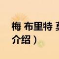 梅 布里特 莫索尔（关于梅 布里特 莫索尔的介绍）