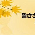 鲁亦兰（关于鲁亦兰的介绍）