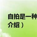 自拍是一种病mv（关于自拍是一种病mv的介绍）