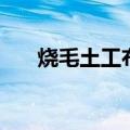 烧毛土工布（关于烧毛土工布的介绍）