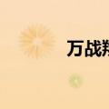 万战翔（关于万战翔的介绍）