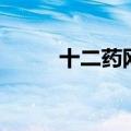 十二药网（关于十二药网的介绍）