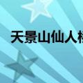 天景山仙人桥（关于天景山仙人桥的介绍）