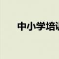 中小学培训（关于中小学培训的介绍）
