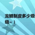 龙鳞制皮多少级能学（请问龙鳞制皮在哪里学呀~需要多少级~）