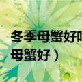 冬季母蟹好吃还是公蟹好吃（冬季吃公蟹还是母蟹好）