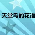 天堂鸟的花语和寓意（天堂鸟的花语是什么）