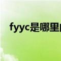 fyyc是哪里的烟草（yyc是哪个烟草公司）