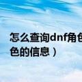 怎么查询dnf角色信息（怎样在DNF网站上查看自己DNF角色的信息）