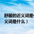 舒服的近义词是什么反义词是什么（舒服的近义词是什么反义词是什么）