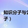 知识分子与公共领域（什么是百大公共知识分子）